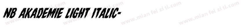 NB Akademie Light Italic字体转换